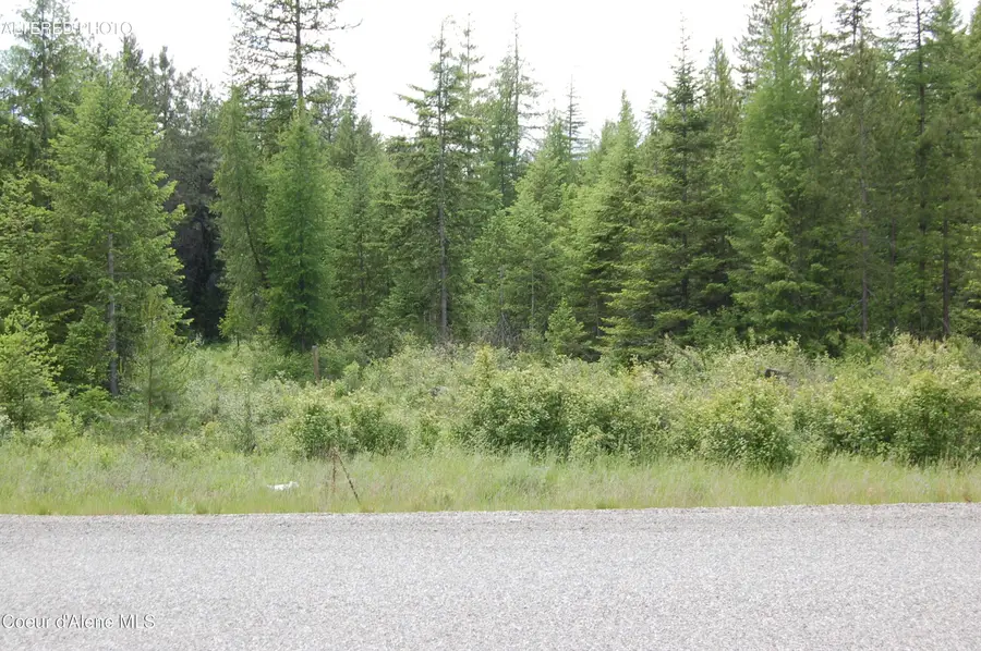 Good Hope Road, Athol, ID 83801 - #2