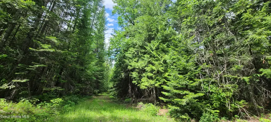NNA W Gold Creek Ridge Rd, Sandpoint, ID 83864 - #3