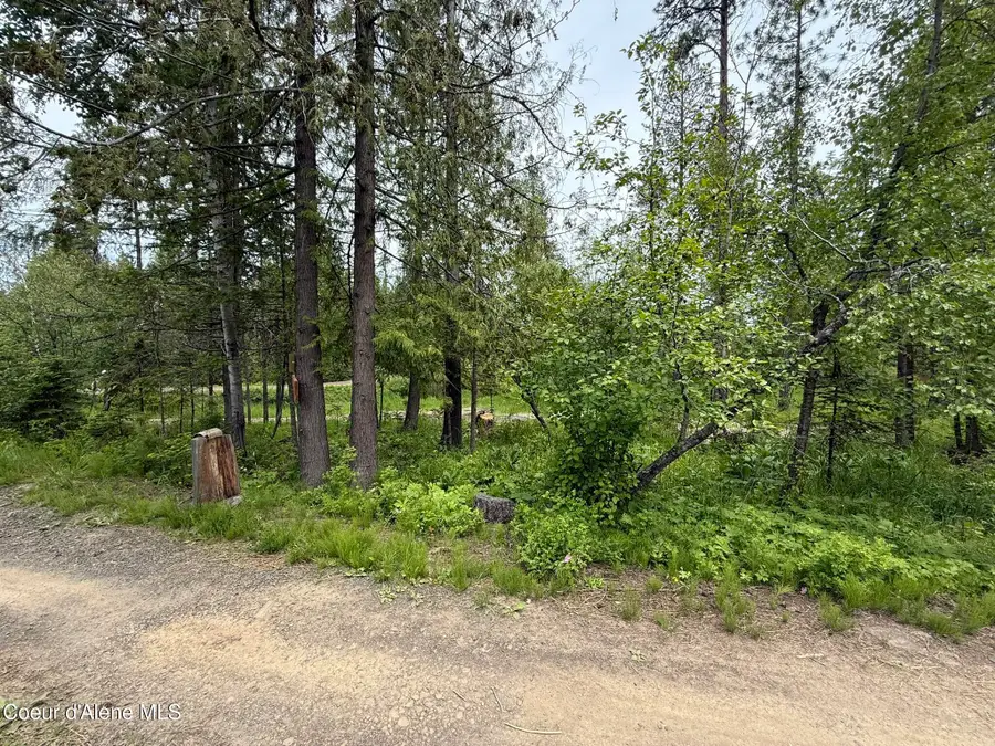 NKA Parkside Rd, Plummer, ID 83851 - #3
