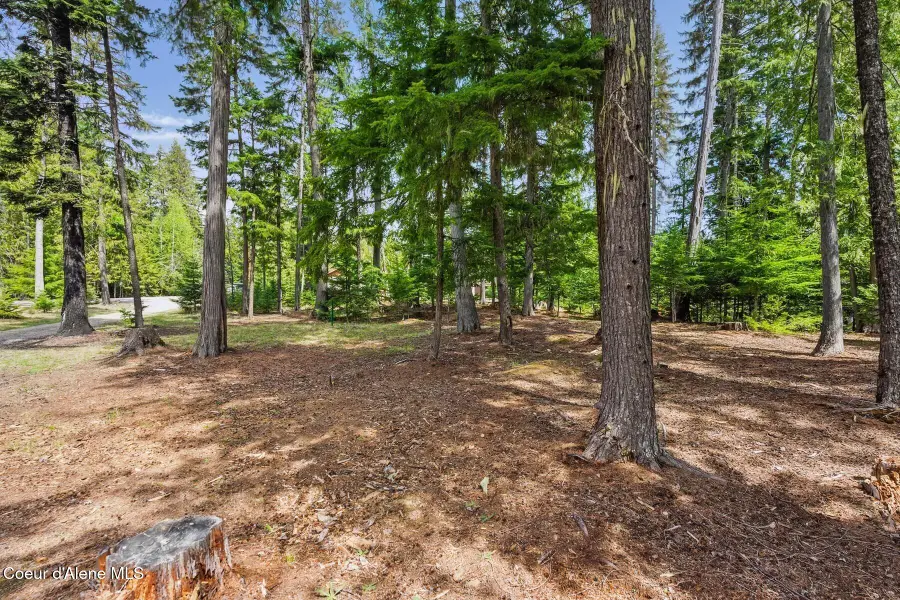 NNA Bruin Rd, Nordman, ID 83848 - #3