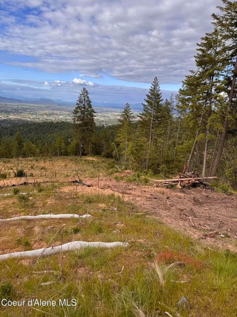 NKA Brave Way, Post Falls, ID 83854 - #3