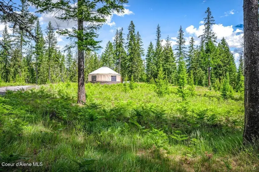 317 Treetop Bluff LN, Bonners Ferry, ID 83805 - #2