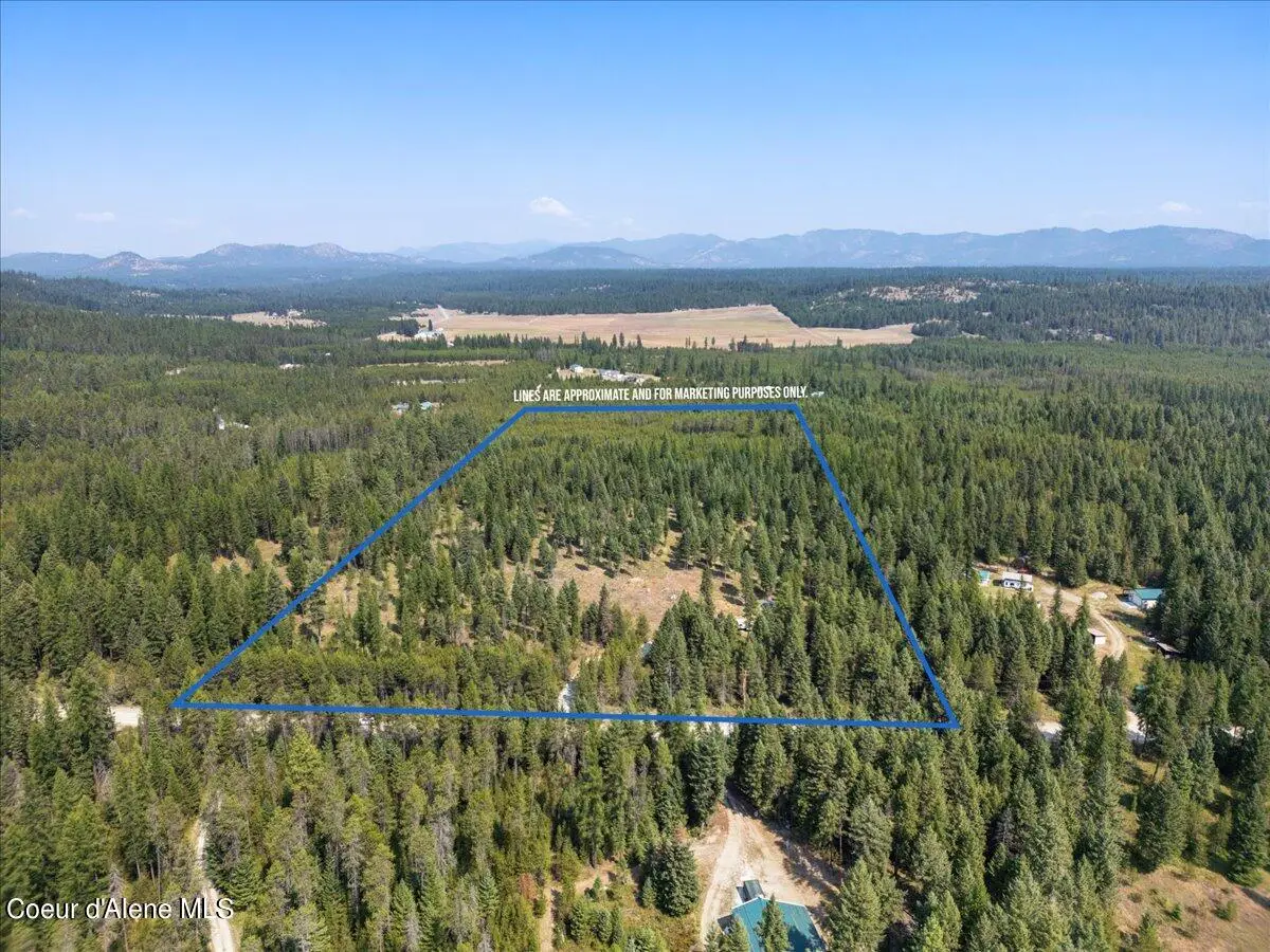 311 BIGFOOT RD, Newport, WA 99156 - #1