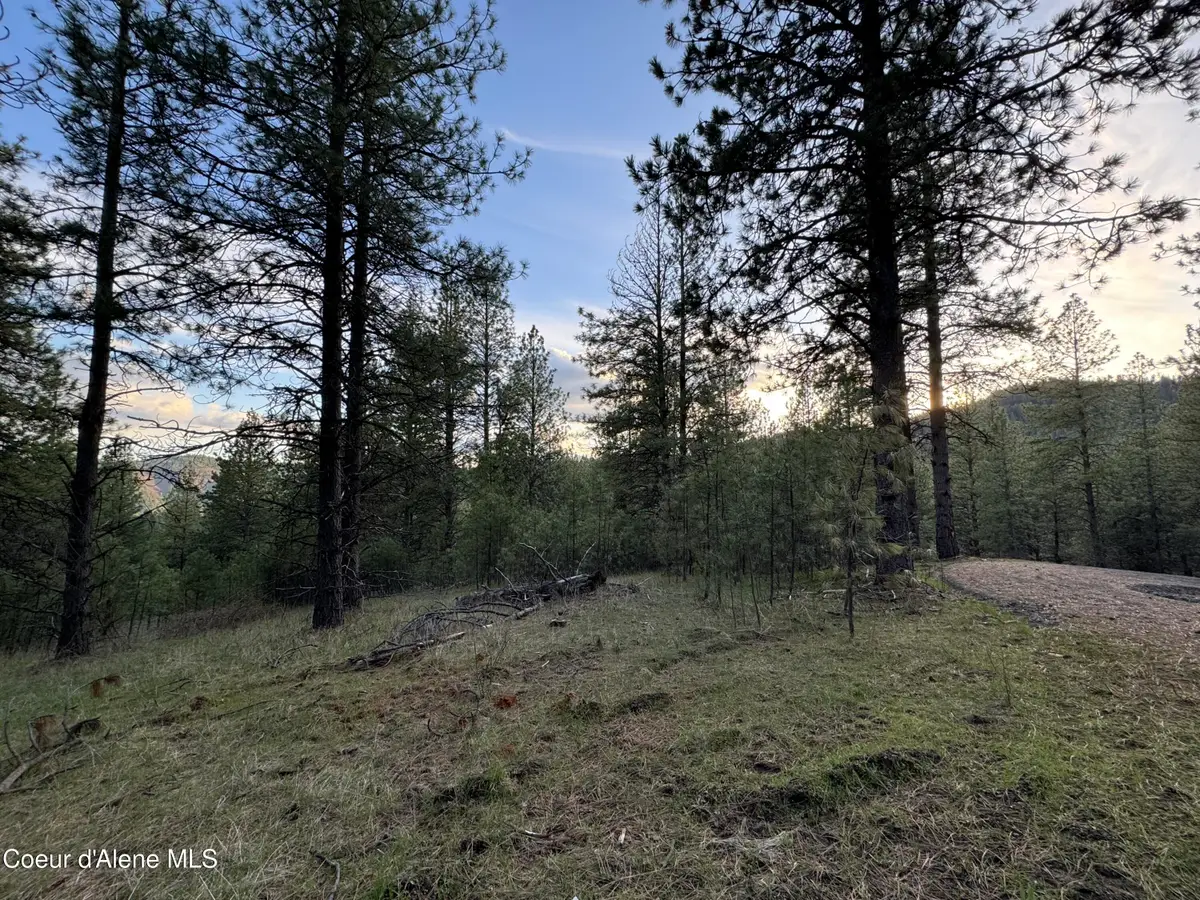NKA(Lot 3) Baby Cougar Lane, Coeur Dalene, ID 83815 - #1