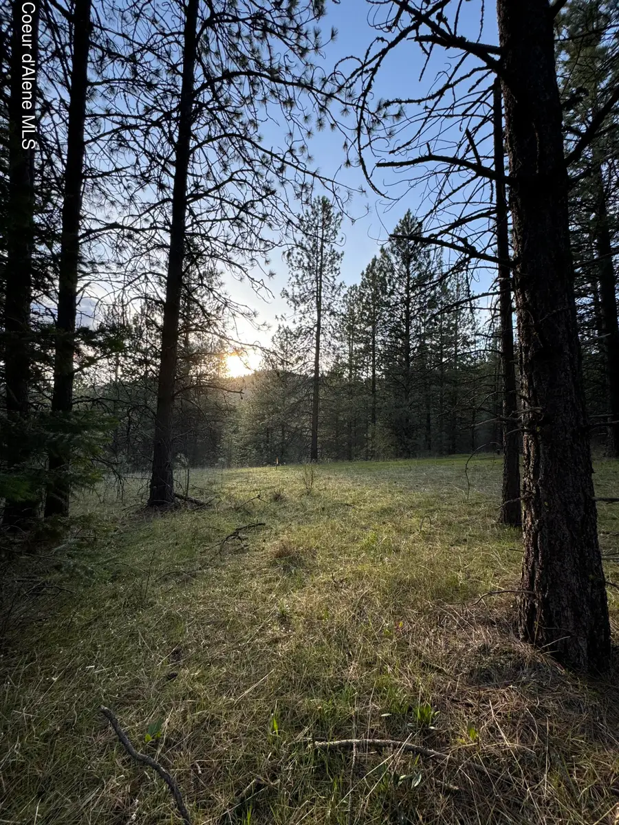 NKA(Lot 3) Baby Cougar Lane, Coeur Dalene, ID 83815 - #2