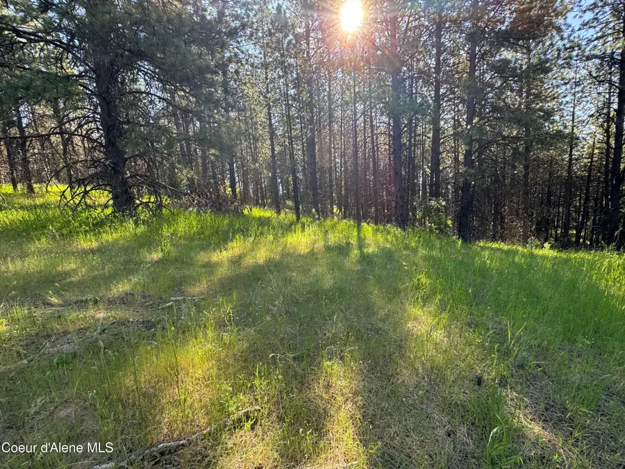 NKA(Lot 3) Baby Cougar Lane, Coeur Dalene, ID 83815 - #3