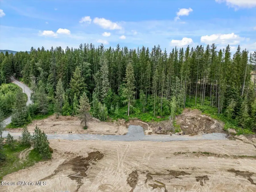 NKA Baja Lot 1 Ln, Oldtown, ID 83822 - #2
