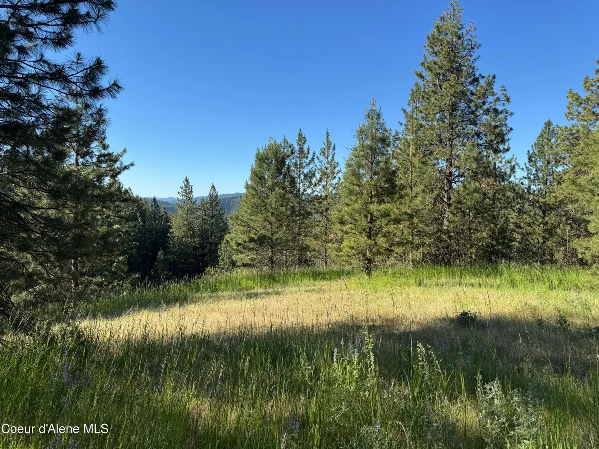 NKA(Lot 2) S Reynolds Rd, Coeur D Alene, ID 83815 - #1