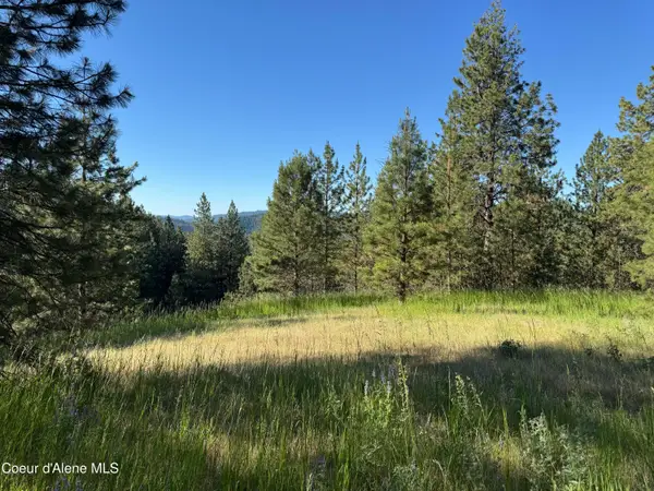 NKA(Lot 2) S Reynolds Rd, Coeur d'Alene, ID 83815
