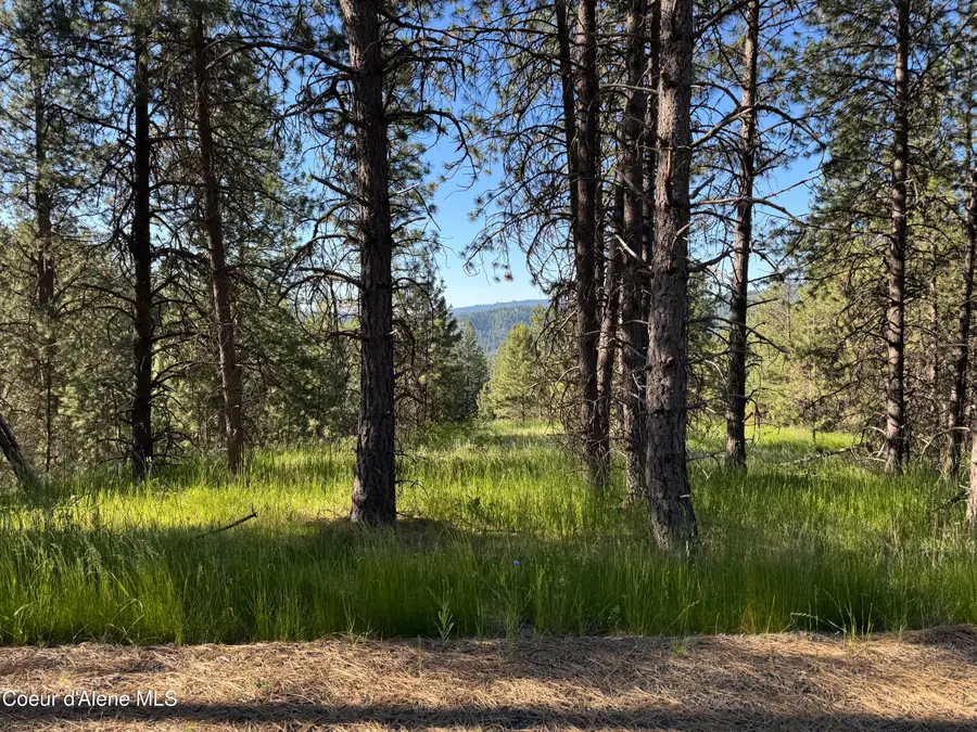 NKA(Lot 2) S Reynolds Rd, Coeur D Alene, ID 83815 - #2