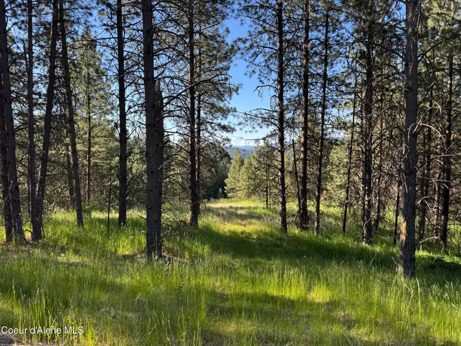 NKA(Lot 2) S Reynolds Rd, Coeur D Alene, ID 83815 - #3