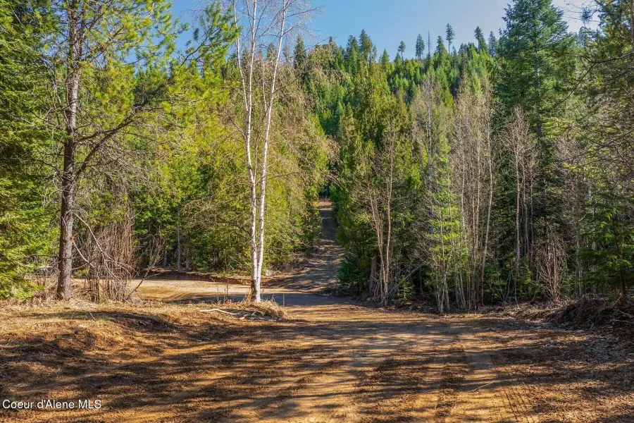 Lots 1 & 2 Cedar Acres, Priest River, ID 83856 - #3
