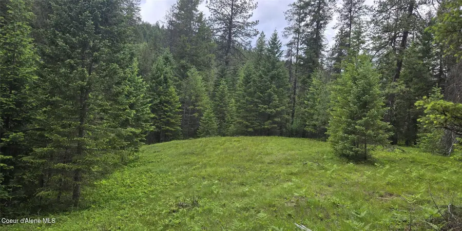 NHN Bull River Rd, Noxon, MT 59853 - #3