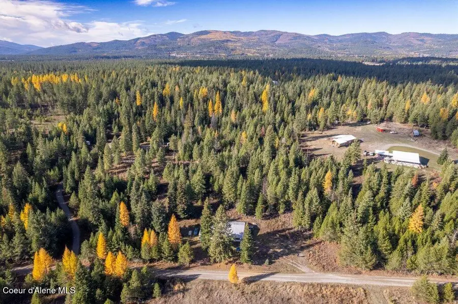 712 Nitty Gritty LN, Priest River, ID 83856 - #3