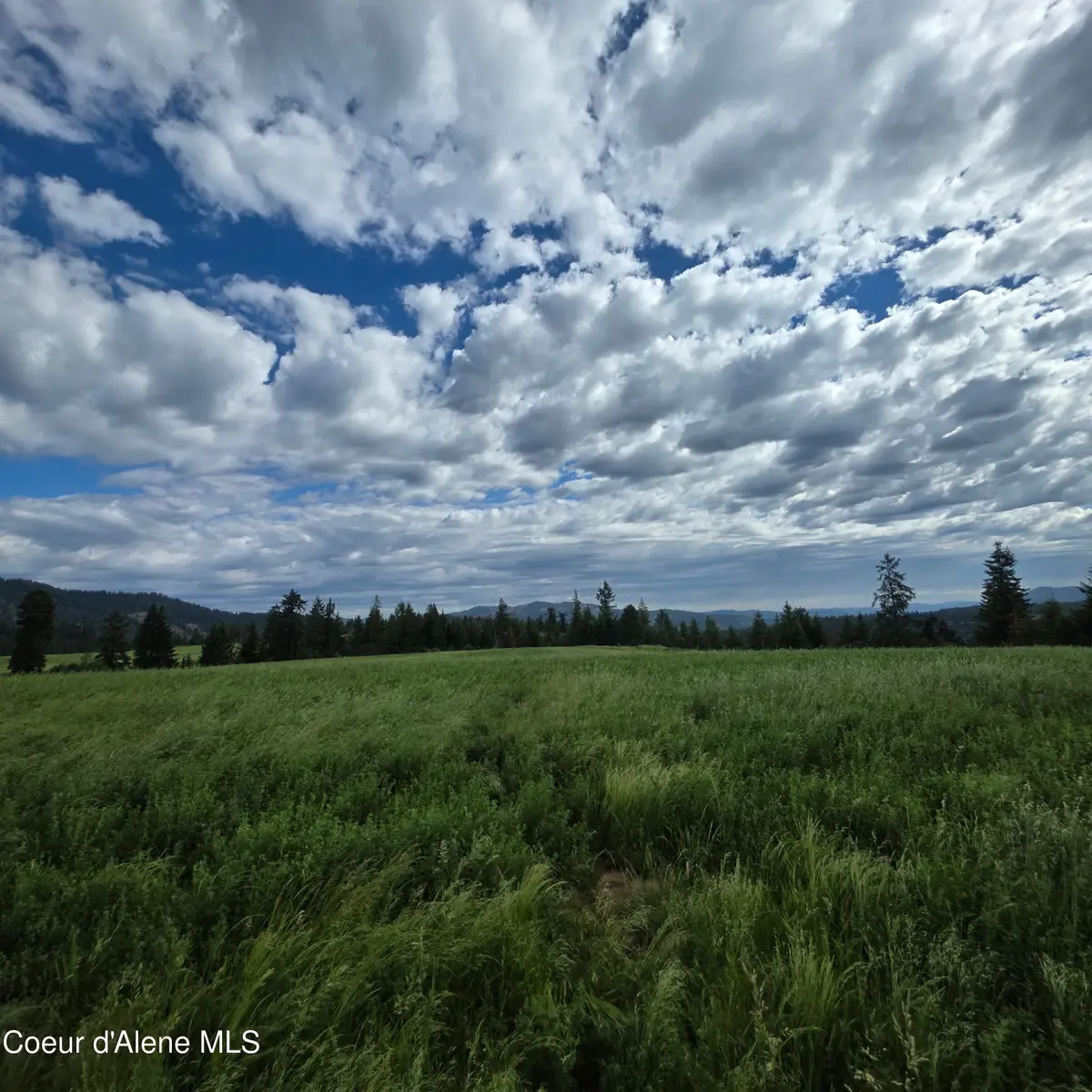 NKA 6 Sunrise Dr, Harrison, ID 83833 - #1
