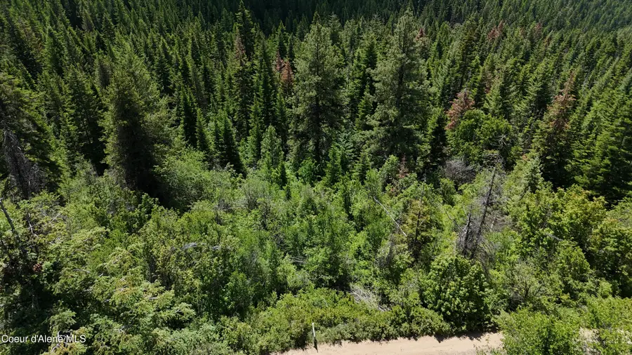 2407 Crystal Peak Rd, Fernwood, ID 83830 - #2
