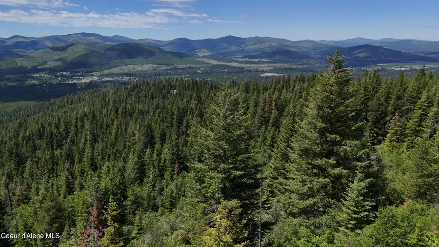 2407 Crystal Peak Rd, Fernwood, ID 83830 - #3