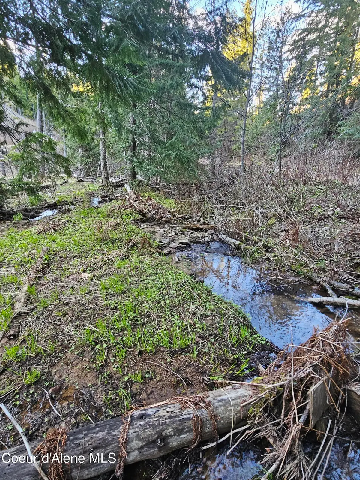 NKA Alder Way, Saint Maries, ID 83861 - #1