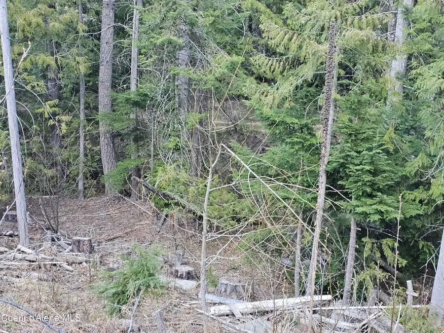 NKA Alder Way, Saint Maries, ID 83861 - #3