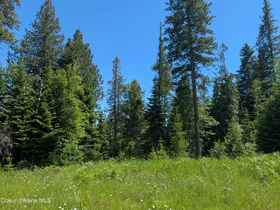 1193 Hidden Valley Rd, Sandpoint, ID 83864 - #3