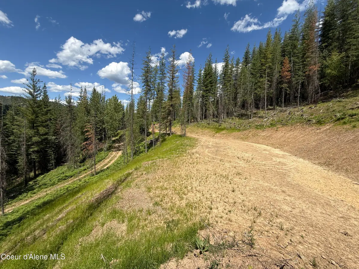 928 Polaris Peak Rd Lot 3, Kellogg, ID 83837 - #1