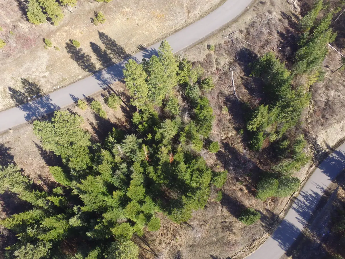 L135 E Echo Canyon Ct, Harrison, ID 83833 - #1