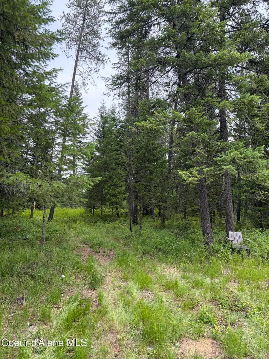 NNA Adams St, Spirit Lake, ID 83869 - #2