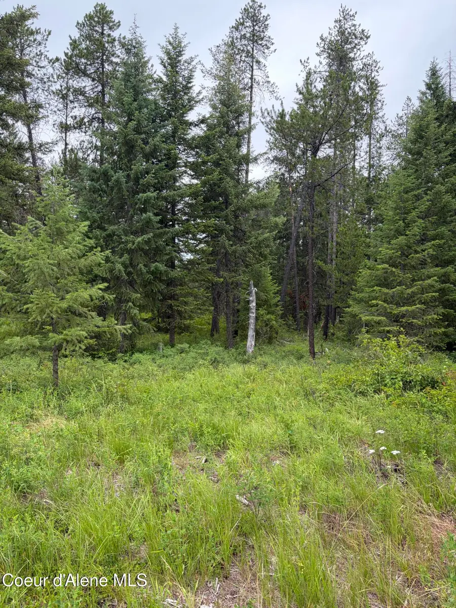 NNA Adams St, Spirit Lake, ID 83869 - #3