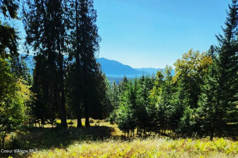 NKA Enchanted Forest Ln (Lot 3), Hope, ID 83836 - #3