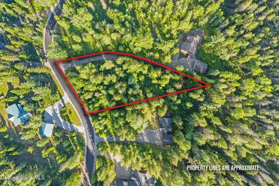 Lot 11 Cougar Run Road, Priest Lake, ID 83856 - #2