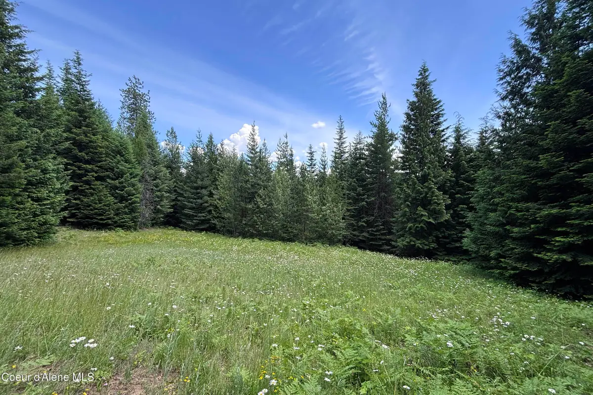 1046 Saddleback DR, Naples, ID 83847 - #1