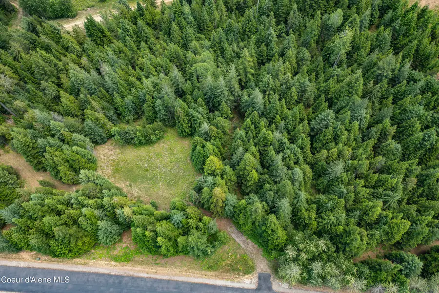 1046 Saddleback DR, Naples, ID 83847 - #2