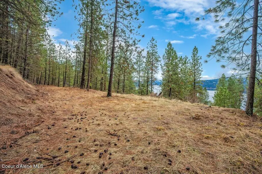 Lot 9 & 10 E Crows Nest Rd, Harrison, ID 83833 - #3
