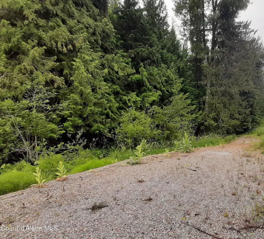 11328 Coeur D'Alene River Rd, Kingston, ID 83839 - #2