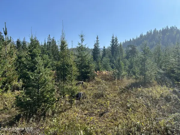 Tract 3 USFS 2294, Clark Fork, ID 83811