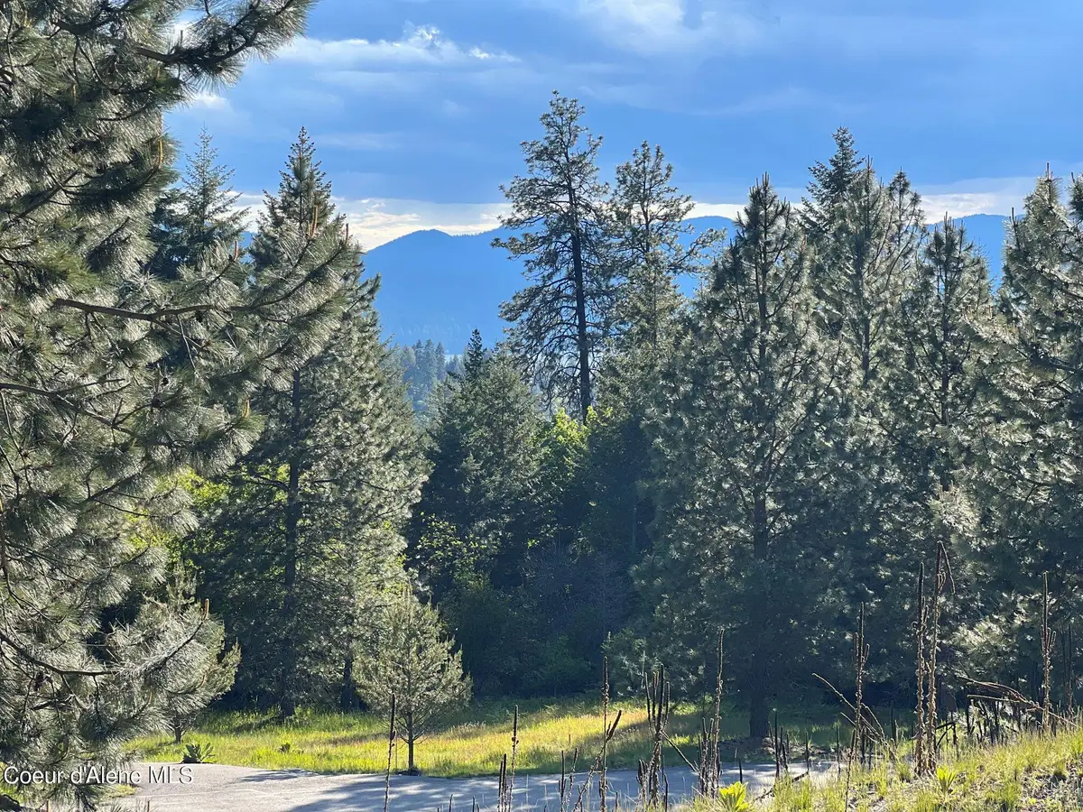 6557 S Buckrail RD, Harrison, ID 83833 - #1