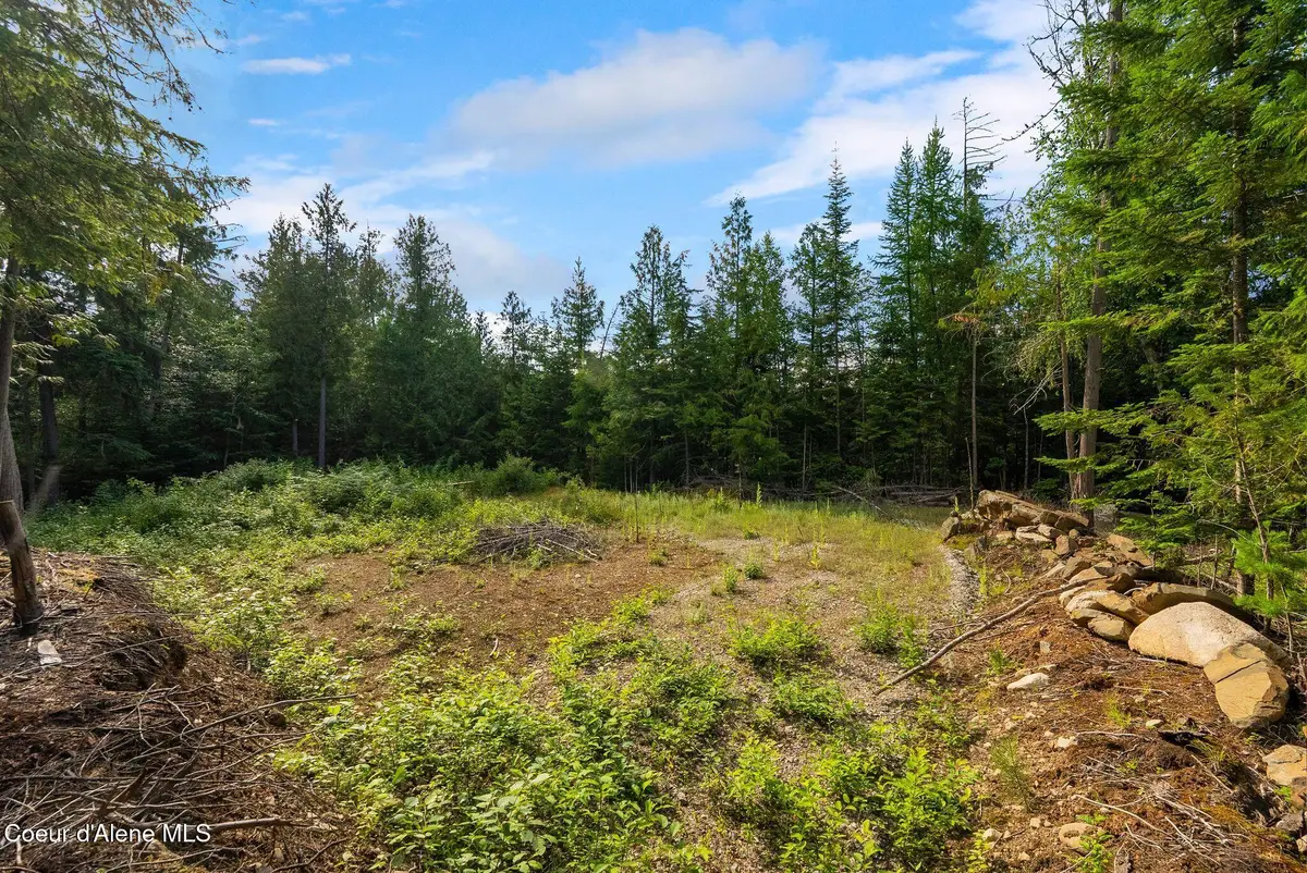 9782 Bottle Bay RD, Sagle, ID 83860 - #1