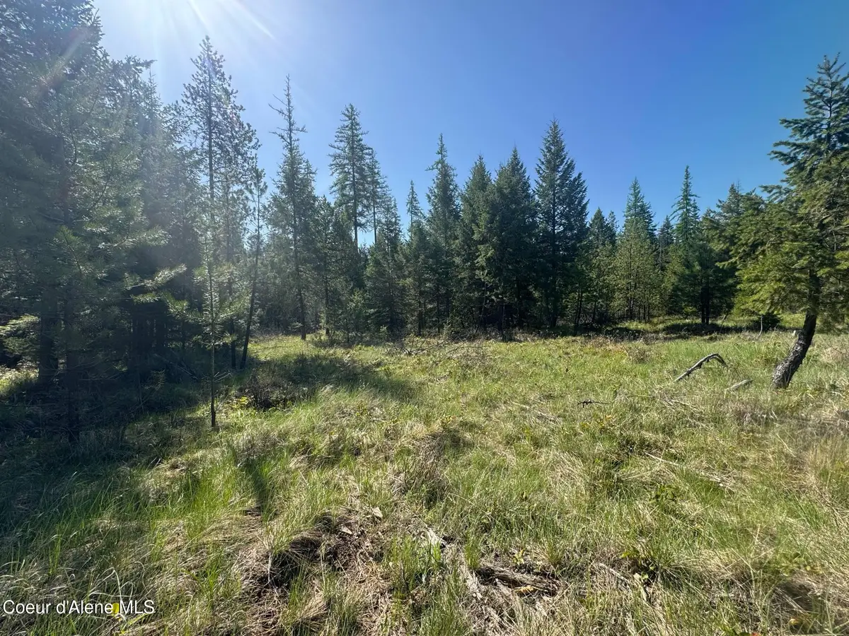 NKA Backroads Way Lot 2, Priest River, ID 83856 - #1