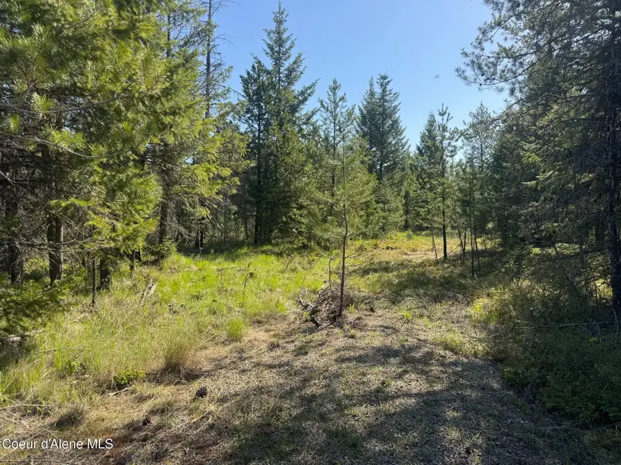 NKA Backroads Way Lot 2, Priest River, ID 83856 - #2
