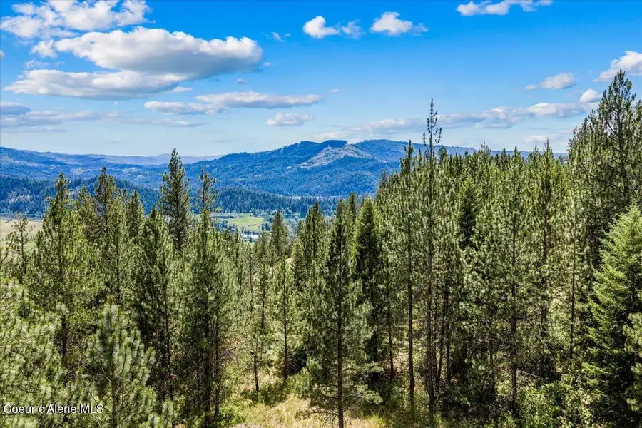 NKA E Maves Ln, Saint Maries, ID 83861 - #3