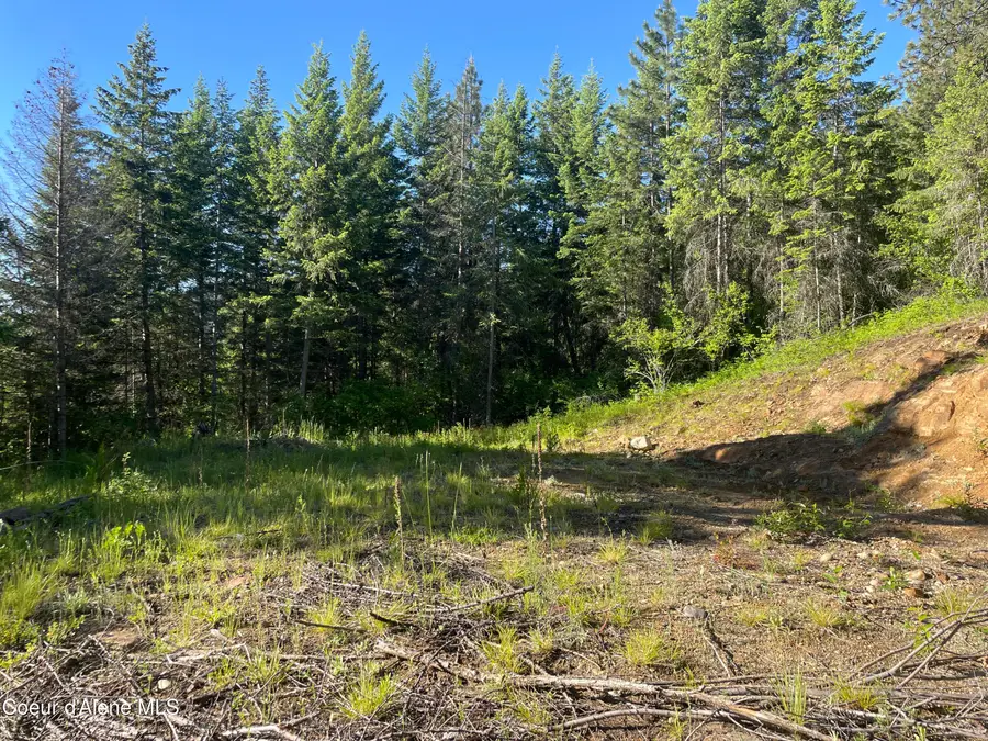 330 Living Waters WAY, Priest River, ID 83856 - #3