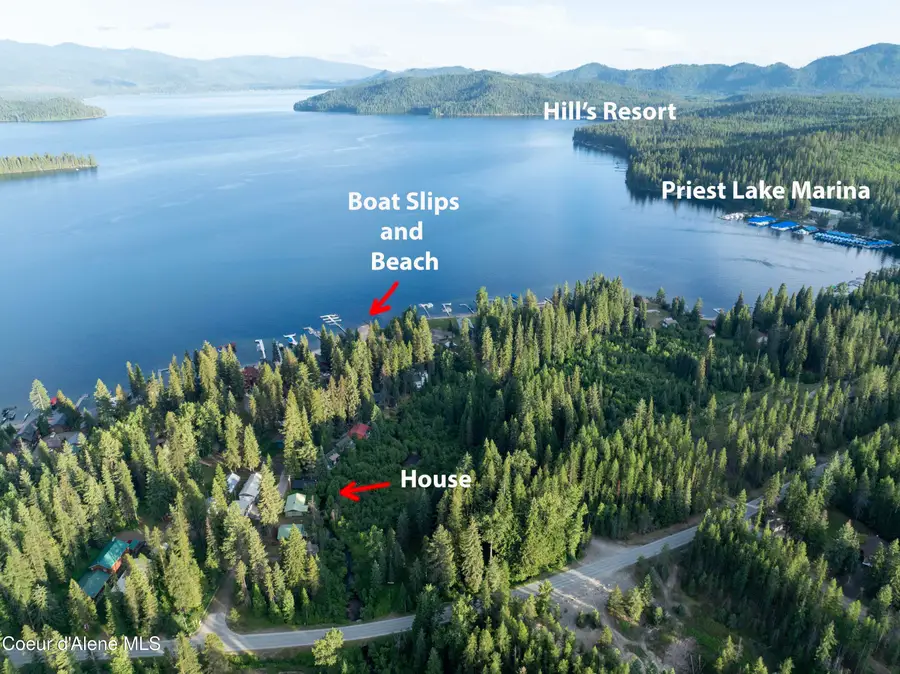 46 Old Schneider RD, Priest Lake, ID 83856 - #2
