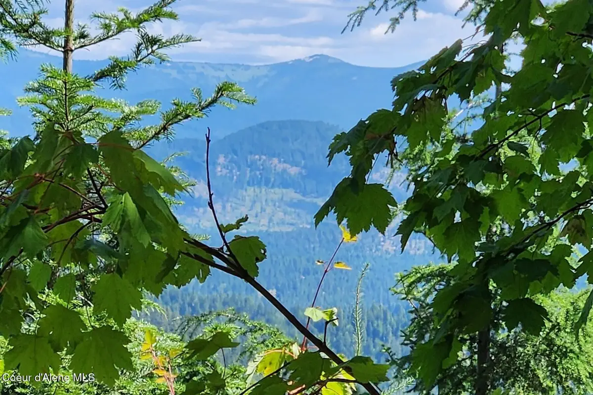 718 Slippery Slope Lot 1, Priest River, ID 83856 - #1