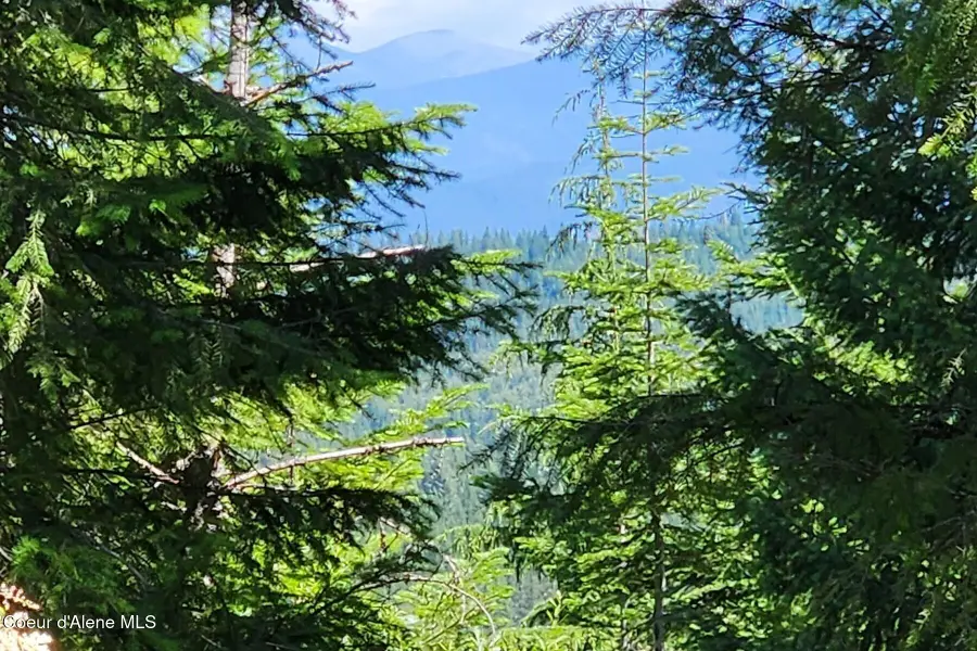 718 Slippery Slope Lot 1, Priest River, ID 83856 - #3
