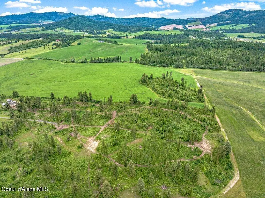 Parcel 1 Freedom Way Rd, Plummer, ID 83851 - #1