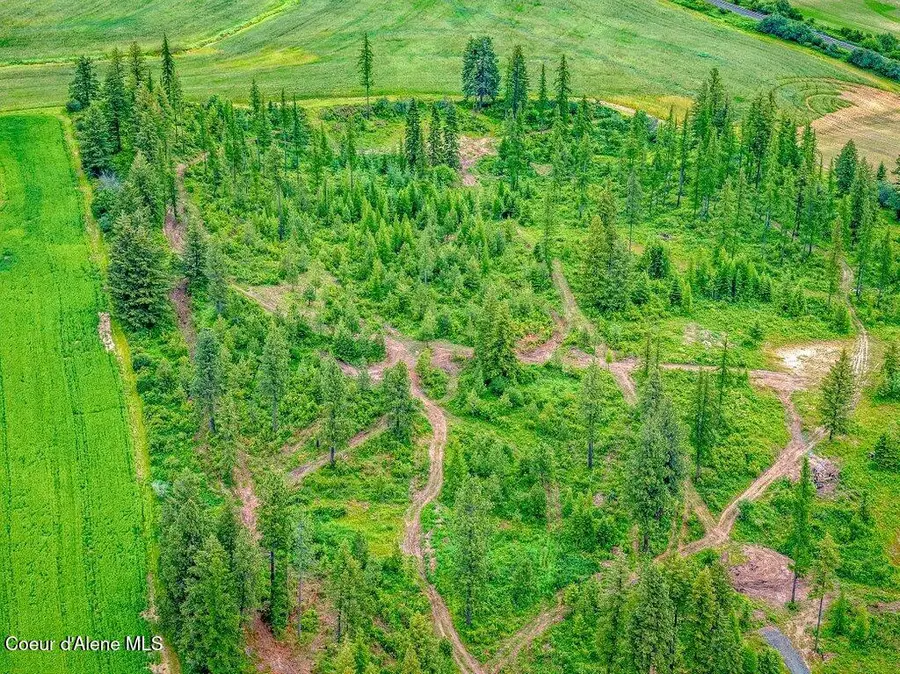 Parcel 1 Freedom Way Rd, Plummer, ID 83851 - #2