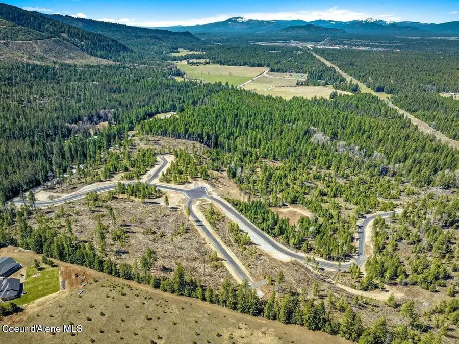 NKA Dickens Rd (Lot 3), Athol, ID 83801 - #3