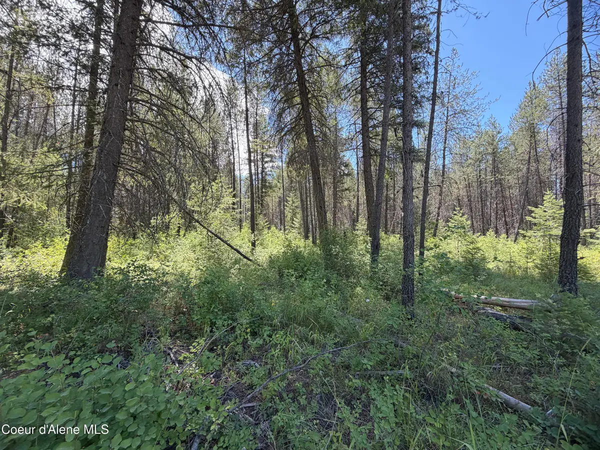 46 Ares WAY, Priest River, ID 83856 - #1