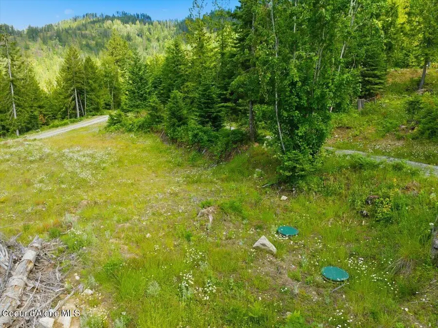 NKA 80-AC Orion Dr, Cocolalla, ID 83813 - #3