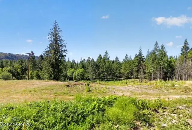 197 Schneiders RD, Sagle, ID 83860 - #1